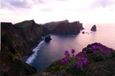 Остров Мадейра - развлечение в Португалии